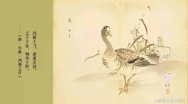 茶水先生读《诗经》181：鸿雁——从此飞进中国文化之中