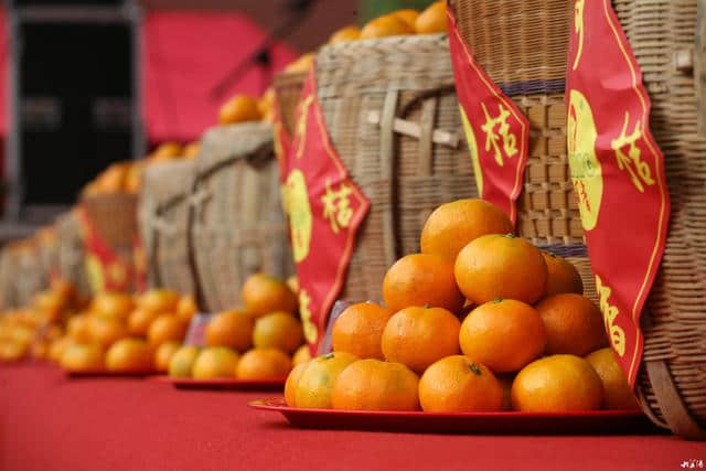 视频｜益阳吃货看过来，最好吃的橘子原来就在你身边