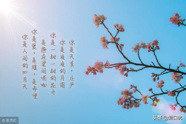 最美的100句中国古诗词，沉醉在美丽的诗句中