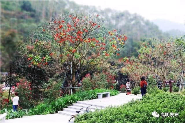 太美了~阳春三月，高明这里已成撩人花海！快来约拍！