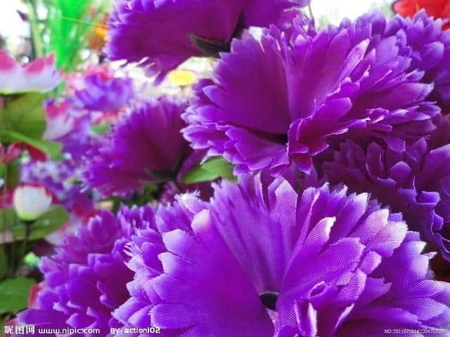 罕见绝美万紫千红才是春，太美了，快分享给朋友吧！