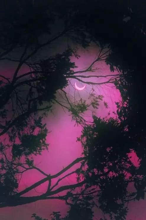 镜头下的中秋圆月：静谧至美！