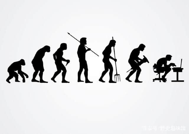 万物之灵的崛起点，我们的祖先甩开猴子和猿的时代-新石器时代