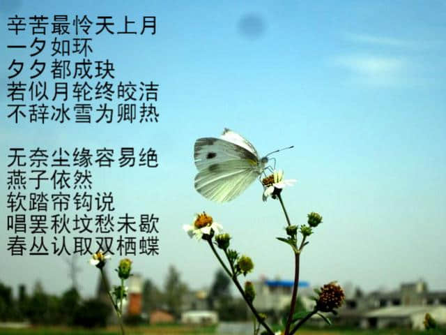 中国古典爱情诗的桂冠诗人——纳兰性德！堪称情诗王子