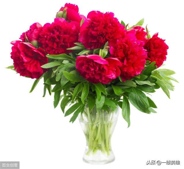 王维的《红牡丹》诗，红花当然配绿叶，红花还要有花语和情感