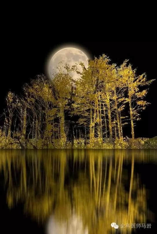 极美的圆月带给您极好的中秋祝福！