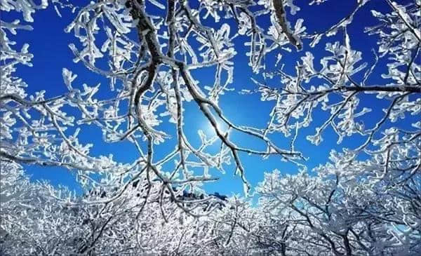 明日小雪：晚来天欲雪，能饮一杯无？