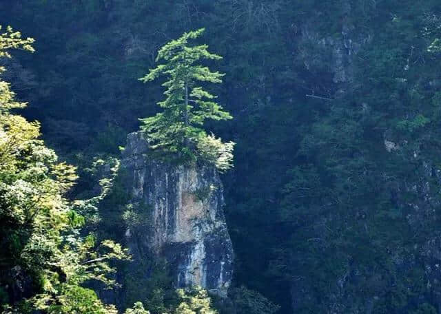 鹤立鸡群，一个位于悬崖尖上的奇特道观