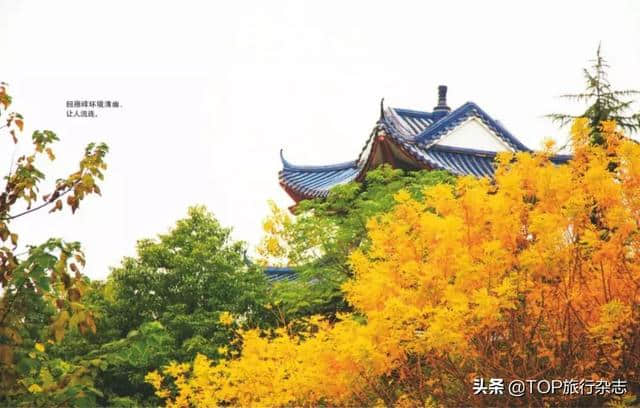 听说在这座湖湘名城，“衡阳雁去无留意”，而我却因为宋词把它描绘得太美，愿定居于此……