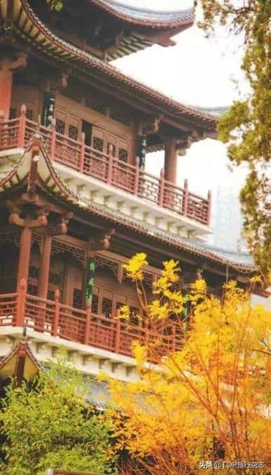 听说在这座湖湘名城，“衡阳雁去无留意”，而我却因为宋词把它描绘得太美，愿定居于此……