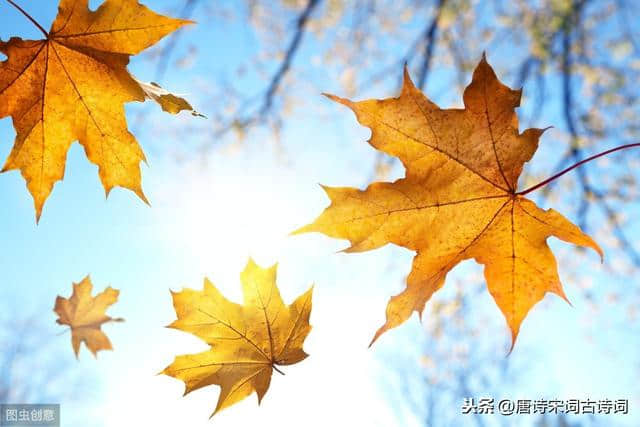 秋风送爽，一起在诗词中感受秋天的美