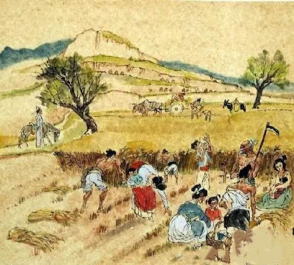 谁怜田间割麦人 竟贪夏日一寸光——白居易为劳动人民发出的叹息