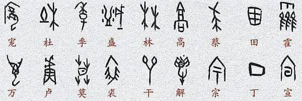 中国古文字探秘-甲骨文