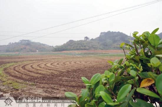 玩转农业嘉年华 红豆社区网友走进玉林五彩田园