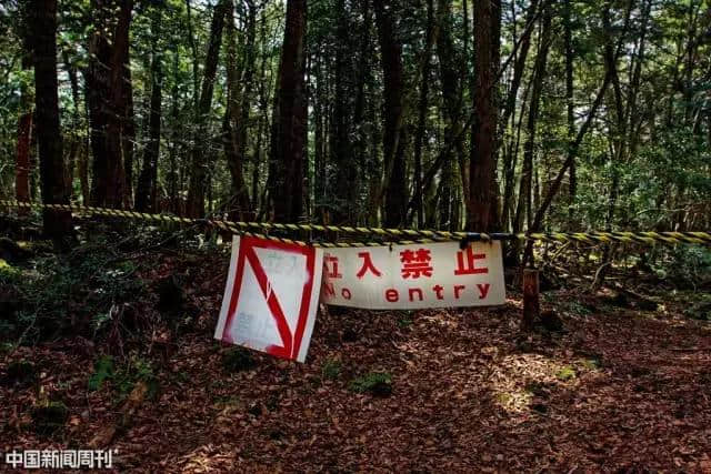 图片故事：自杀森林与日式死亡