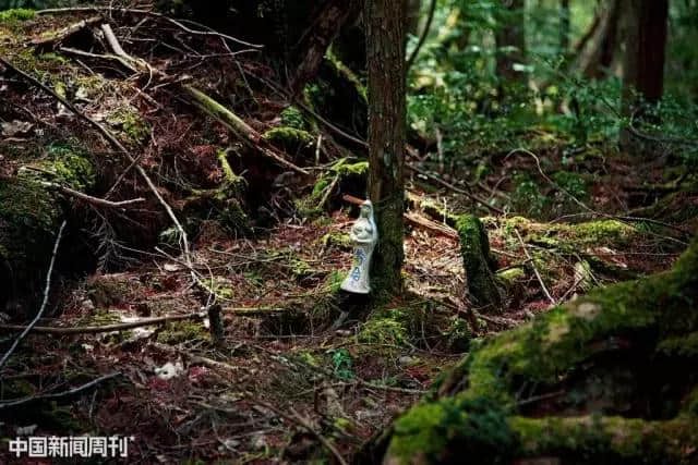 图片故事：自杀森林与日式死亡