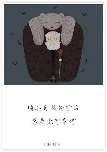 鹤立鸡群的一段话