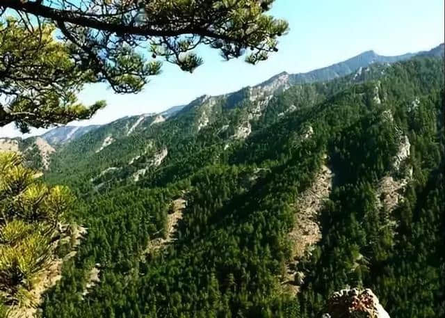2019第五届“中国森林氧吧”榜单发布 内蒙古贺兰山国家森林公园上榜