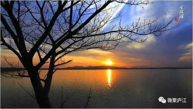桐城派三祖之一的姚鼐游览过庐江黄陂湖，写了美文和书法，真美化得之