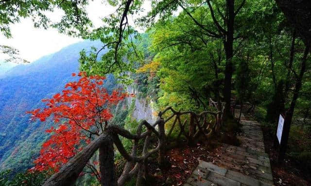 停车坐爱枫林晚，红叶赏秋正当时，西安周边的红叶盛景