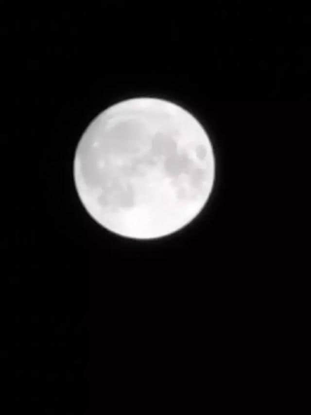 昨晚，你拍月亮了吗？皓月当空，网友实拍，多图来袭