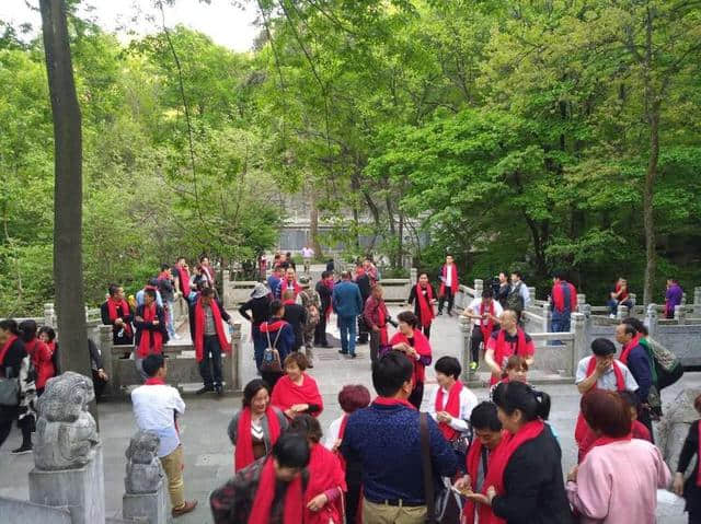 四月，我们在桐柏山接受一次心灵的洗涤，寻根谒祖桐柏山！
