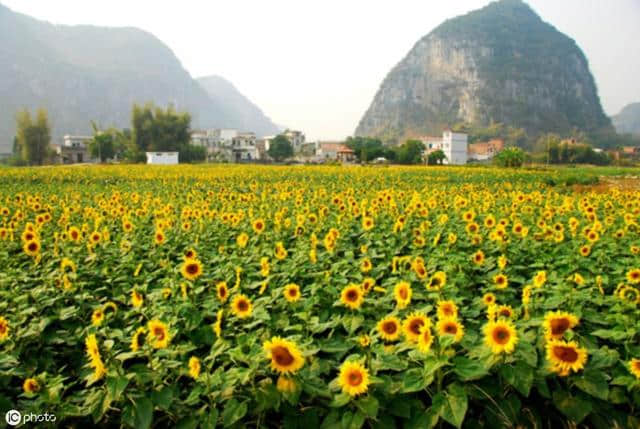 永嘉茗岙、霍童古镇、堂安侗寨...国内最适合十一出发的小众景点，人少景美说走就走