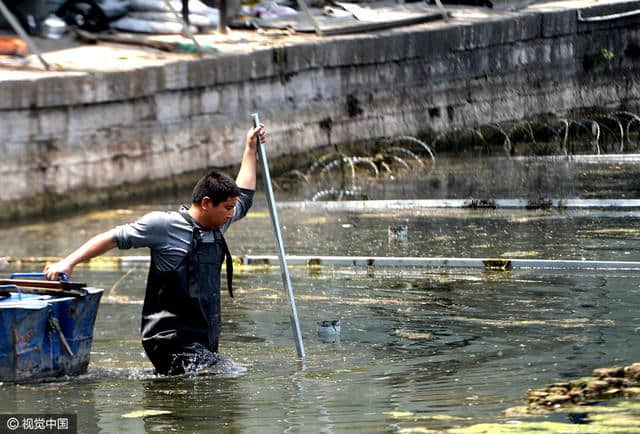 济南在湖中安装铁蒺藜防钓鱼：恐成杀人机器