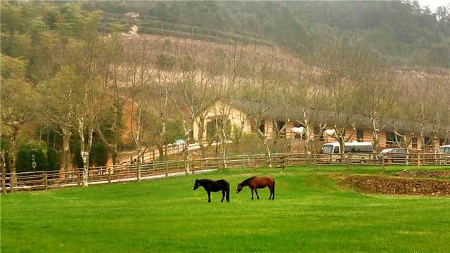 清凉莫干山，中国四大避暑胜地之一