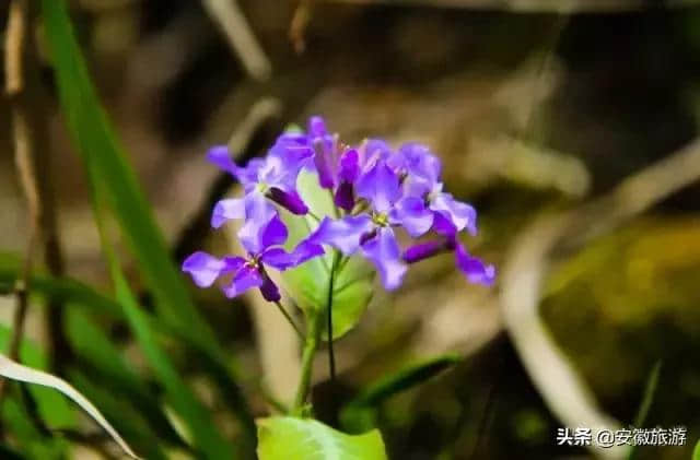 天生一个仙人洞，绝美风光在全军！