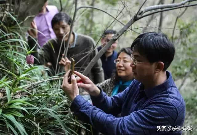 天生一个仙人洞，绝美风光在全军！