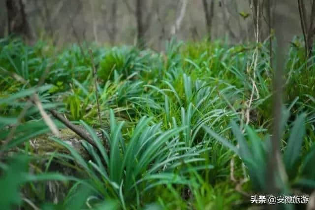 天生一个仙人洞，绝美风光在全军！