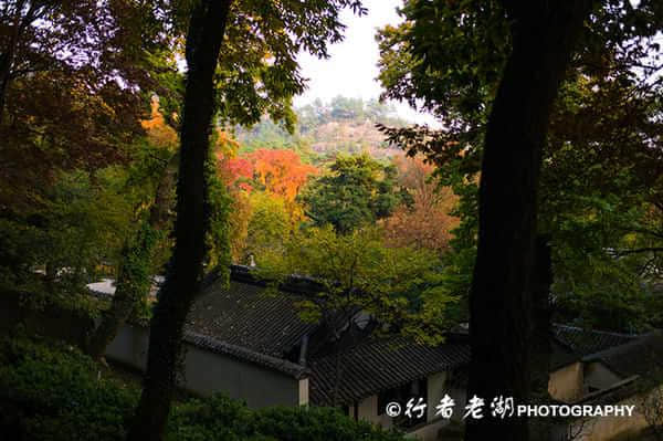 中国四大赏红叶胜地--苏州天平山