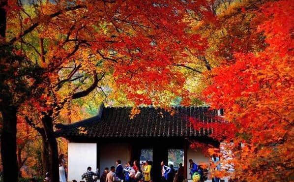 苏州最美的地方，赏枫胜地天平山