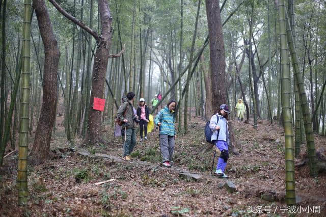 宁波 天童寺 天童国家森林公园 太白山 古天童徒步