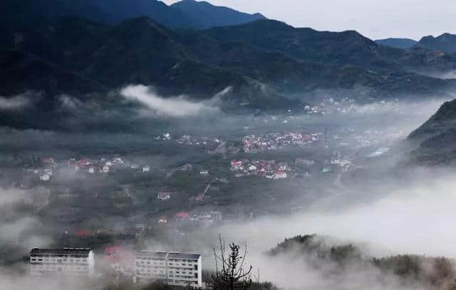 天目山：古老的植物王国，宗教与文化交织