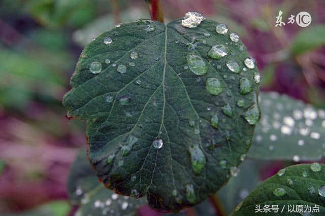 40句唯美好听的短句，摘抄下来随时可以用