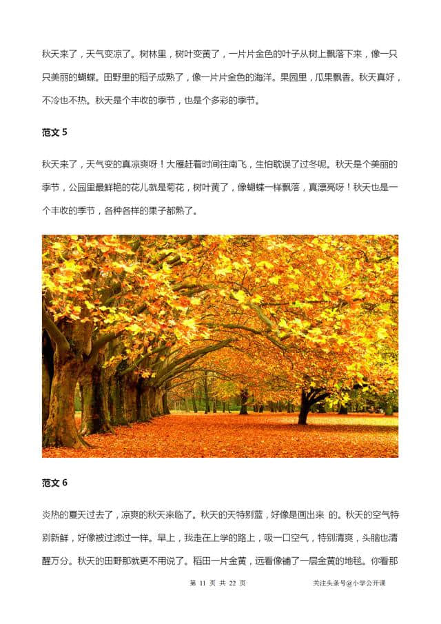 小学语文写作：《美丽的秋天》写话作文好词+好句+范本20篇
