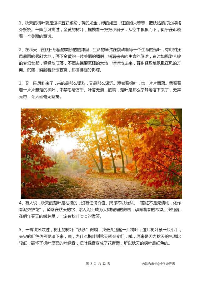 小学语文写作：《美丽的秋天》写话作文好词+好句+范本20篇