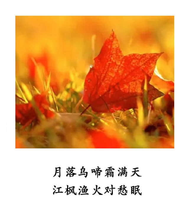 凉爽的秋天来了，那些描写秋天的美好诗词送给大家！