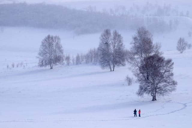 出门赏雪不得不知道的描写雪景的诗词，你还有哪些优美的诗句