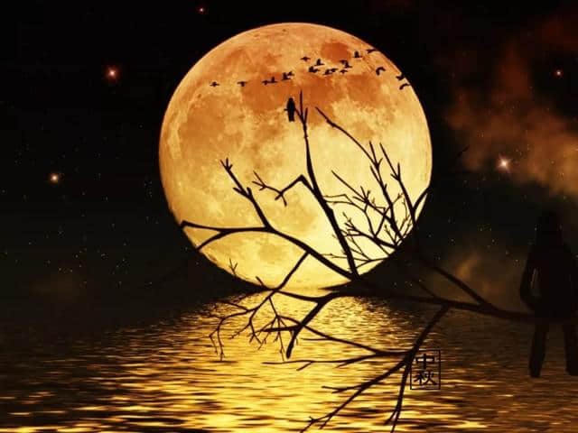 海上生明月，天涯共此时：那些望月怀远的古诗词