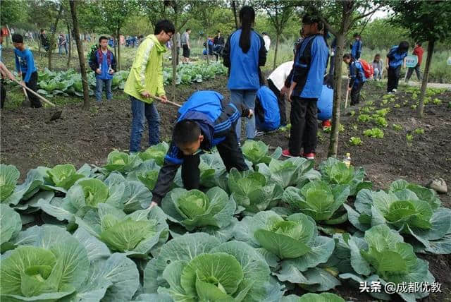 “海阔凭鱼跃，天高任鸟飞”，双中实验为新同学们送上“迎新诗”