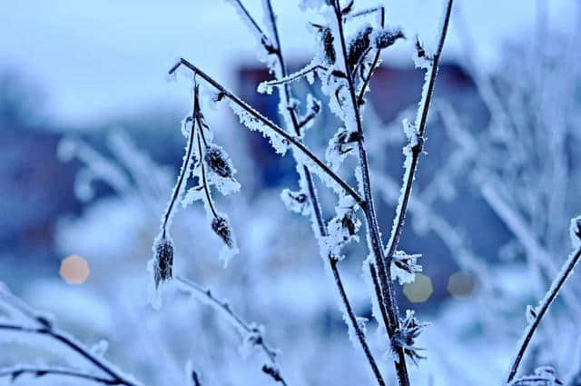 十首雪景诗词，最美的雪在诗词里