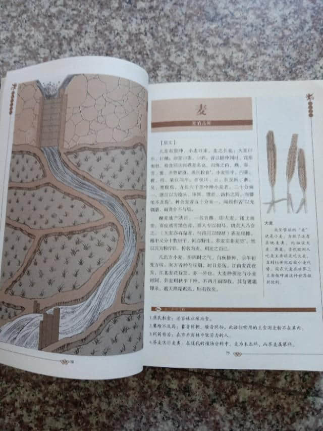 天工开物，中国古代科学技术百科全书。