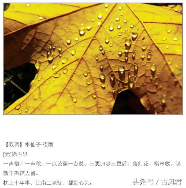 古诗词中的秋雨，一起来欣赏吧！
