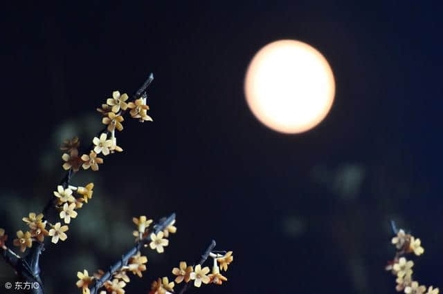 你读过的写月亮最美的一句古诗词是什么？