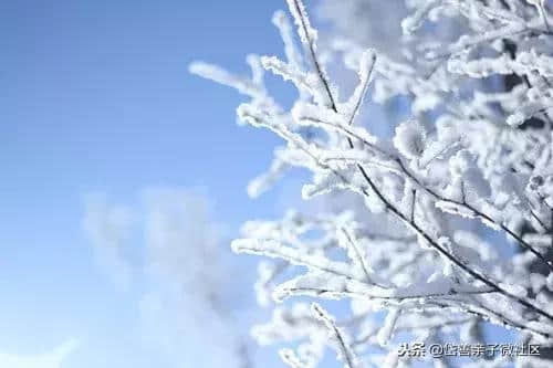 下雪了，让我们带上这13首绝美诗词一起去赏雪！