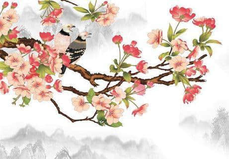 苏轼最著名的一首海棠诗，表面明丽浪漫，但你真的读懂了吗