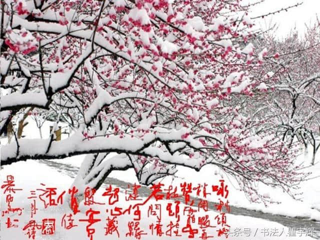 美，好多地方都下大雪了，来看看这些描写雪的诗句与绘画吧